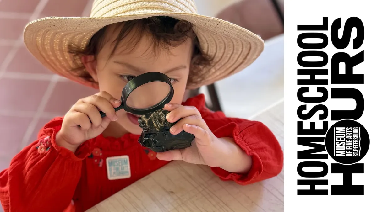 Homeschool Hours | STEAM