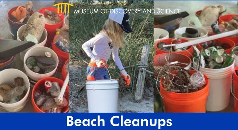 Beach Clean-ups