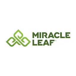 Miracle Leaf